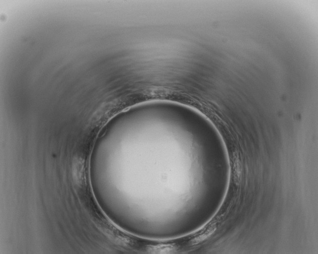 X0000073710511200608101842