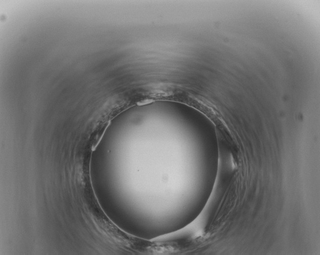 X0000073710512200608101842