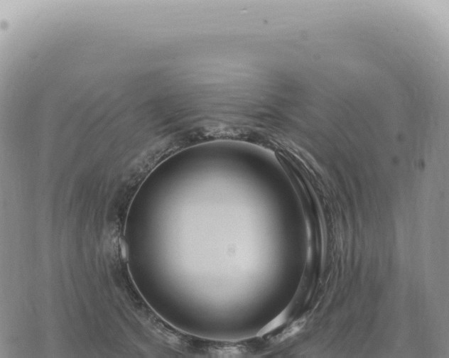 X0000073710513200608101842