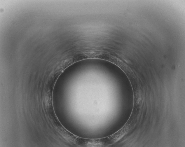 X0000073710515200608101842