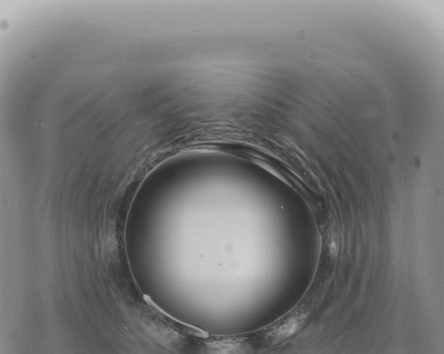 X0000073710516200608101842