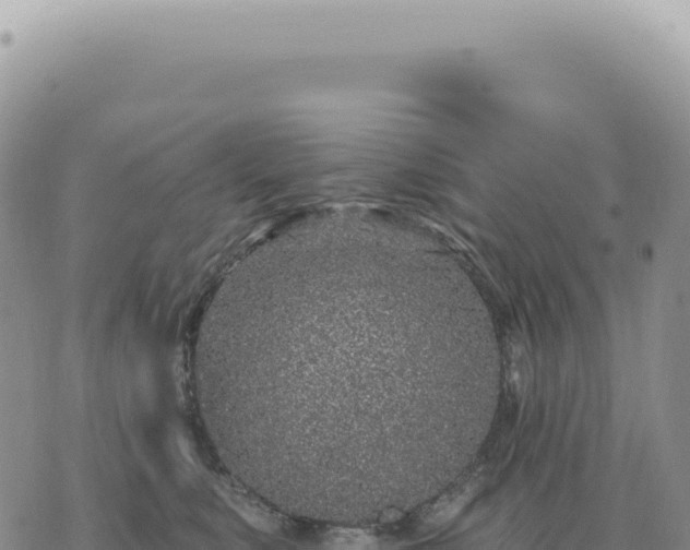 X0000073710519200608101842