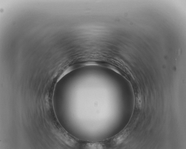 X0000073710520200608101842