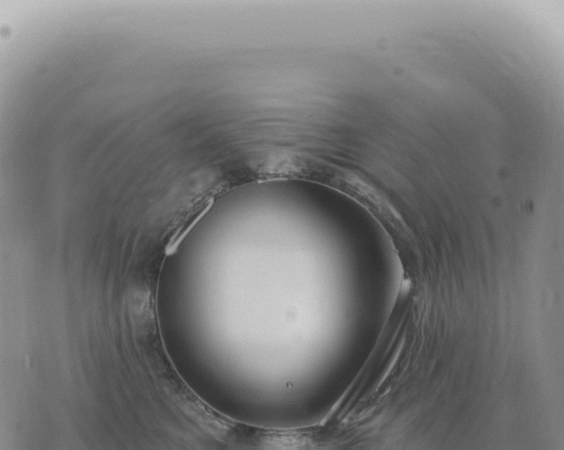 X0000073710521200608101842