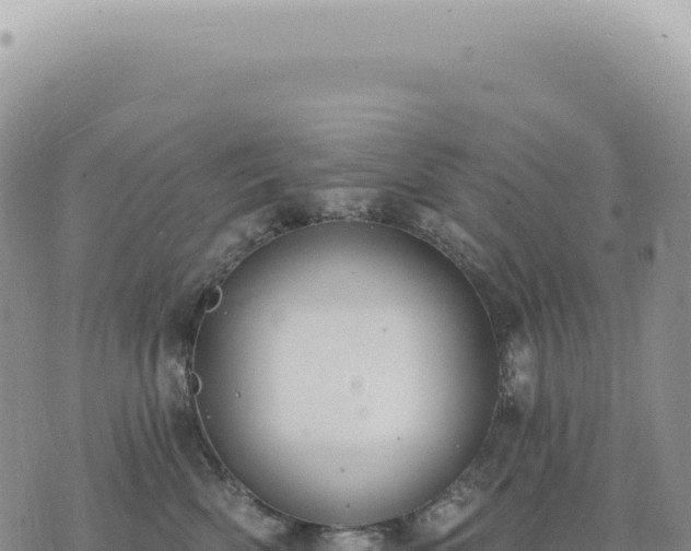 X0000073710522200608101842