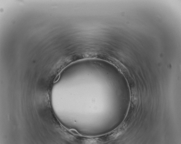 X0000073710523200608101842