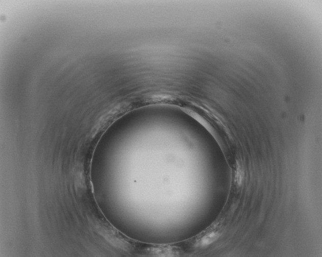 X0000073710524200608101842