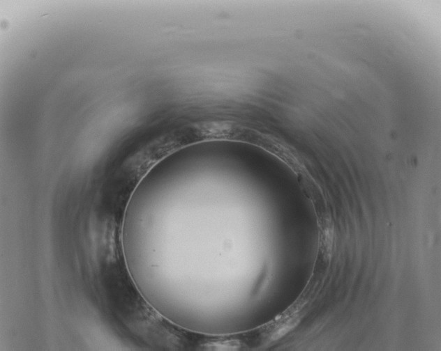 X0000073710525200608101842