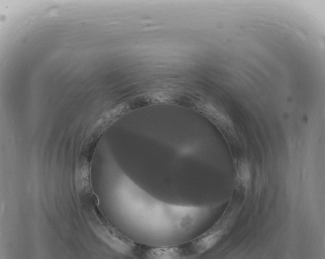 X0000073710526200608101842