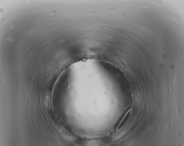 X0000073710527200608101842