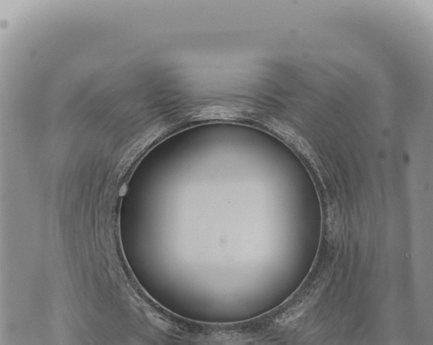 X0000073710529200608101841