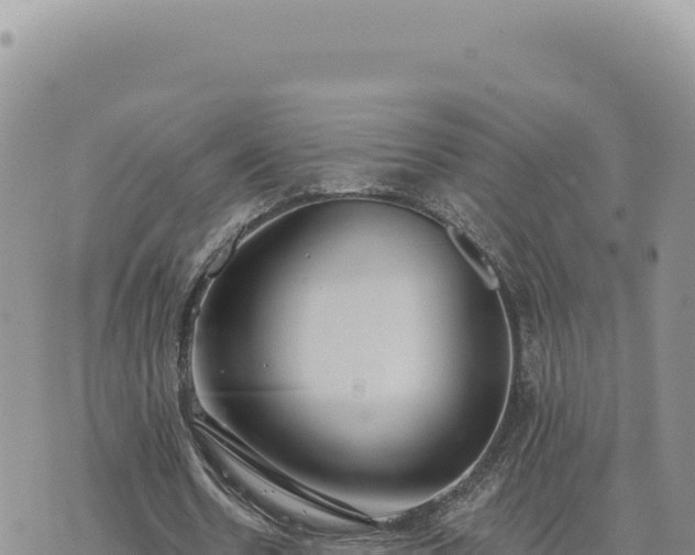 X0000073710530200608101841