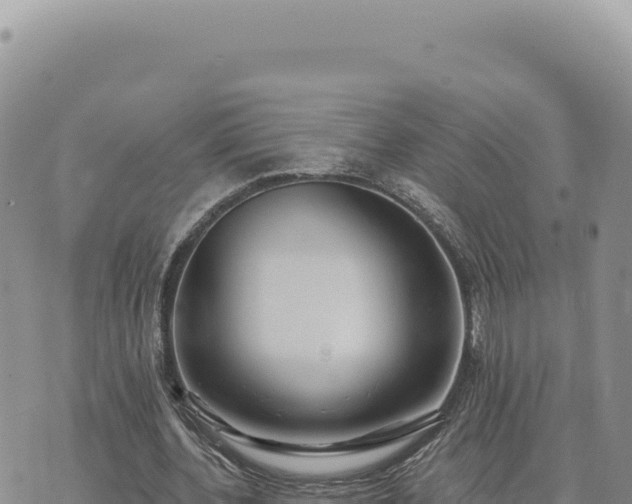 X0000073710532200608101841