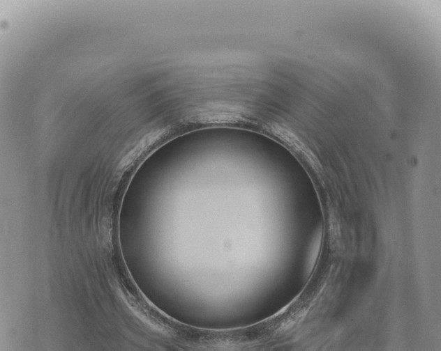 X0000073710533200608101841