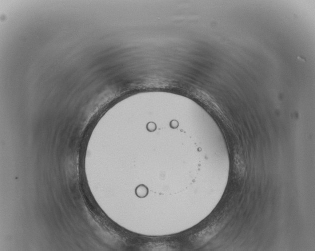 X0000073710534200608101841