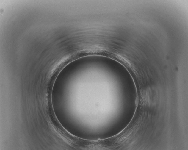 X0000073710535200608101841