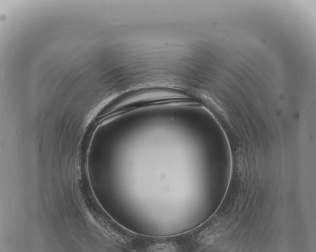 X0000073710536200608101841