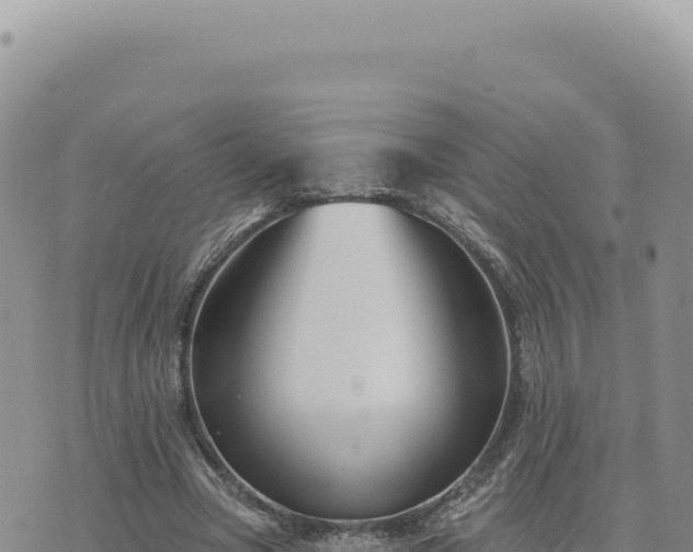 X0000073710537200608101841