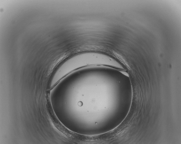 X0000073710538200608101841