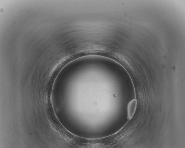 X0000073710539200608101841