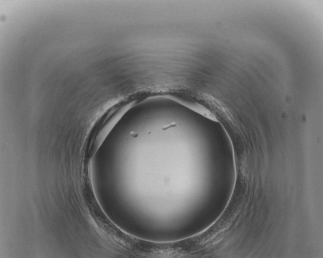 X0000073710540200608101841