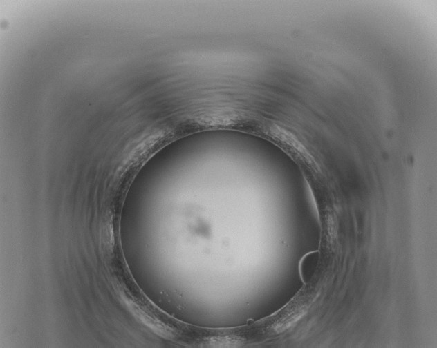 X0000073710541200608101841