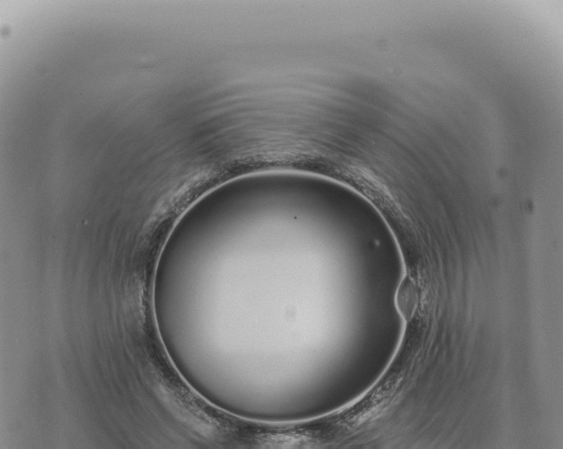 X0000073710542200608101841