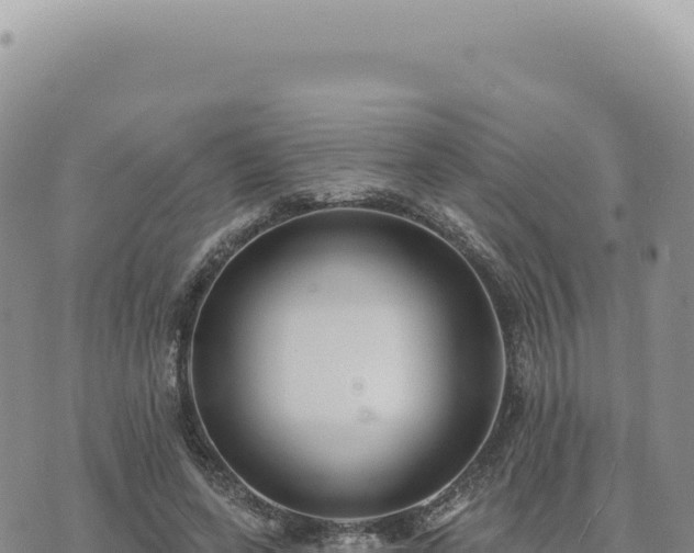 X0000073710543200608101841