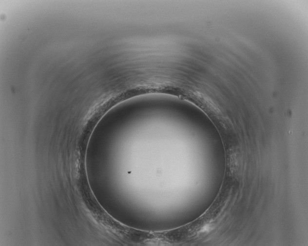 X0000073710544200608101841