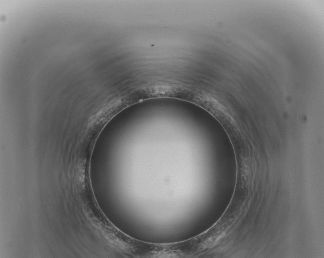 X0000073710545200608101841