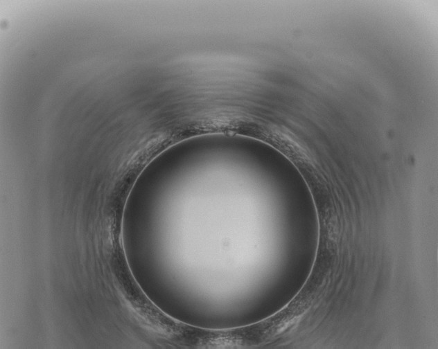 X0000073710546200608101841