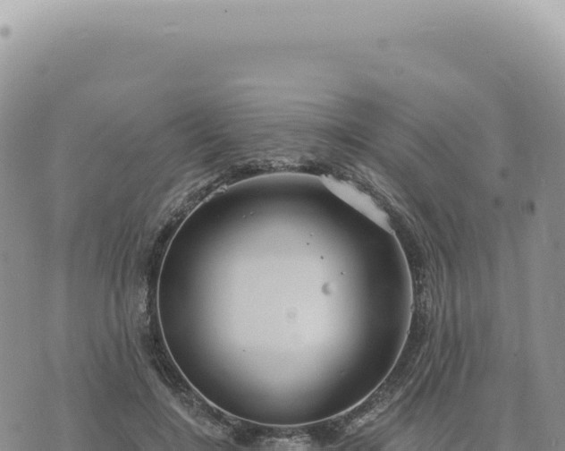 X0000073710548200608101841