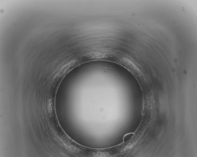 X0000073710549200608101841