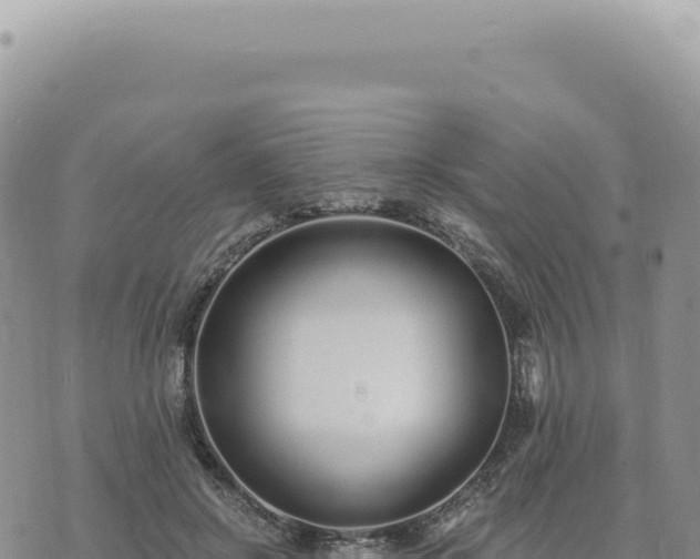 X0000073710550200608101841