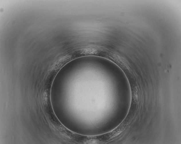 X0000073710551200608101841