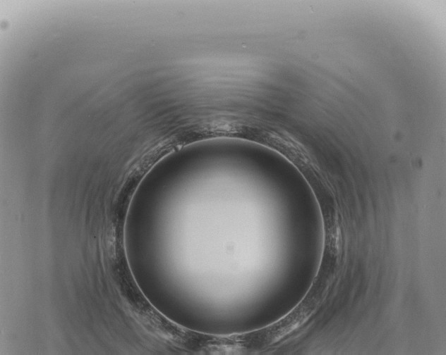 X0000073710552200608101841