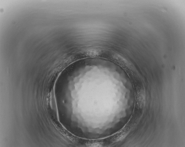 X0000073710553200608101841