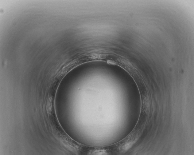 X0000073710554200608101841