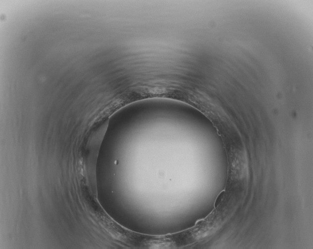 X0000073710555200608101841