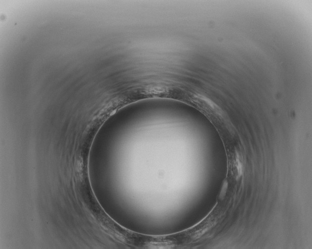 X0000073710556200608101841