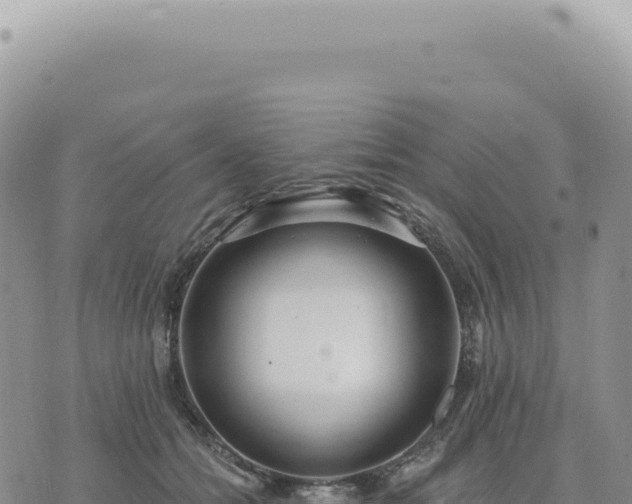 X0000073710558200608101842