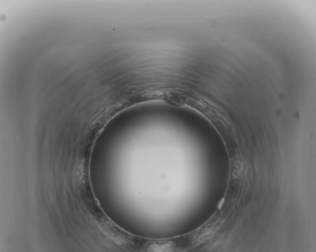 X0000073710560200608101842