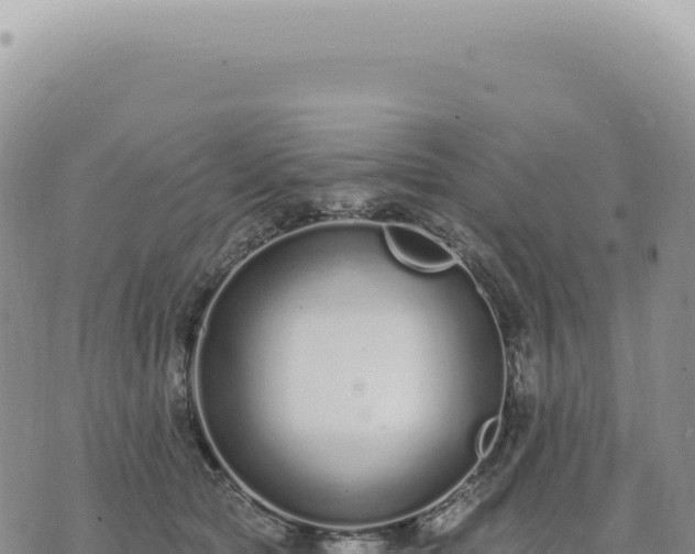 X0000073710561200608101842