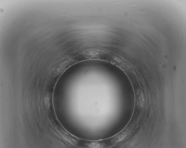 X0000073710562200608101842