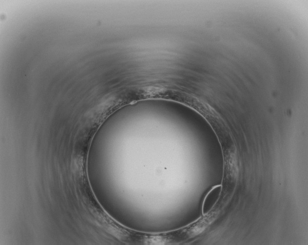 X0000073710565200608101842