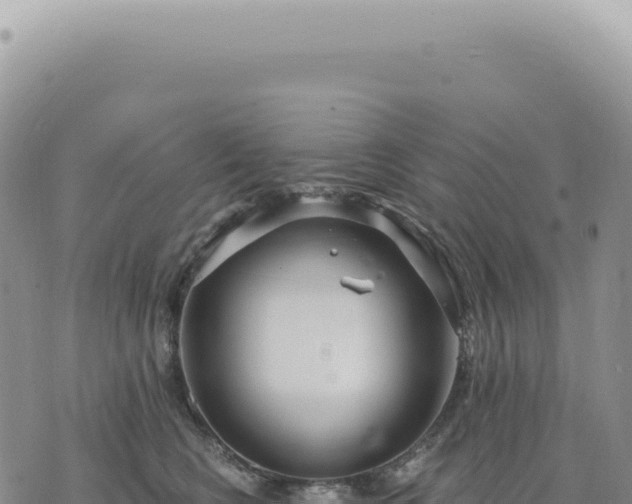 X0000073710566200608101842