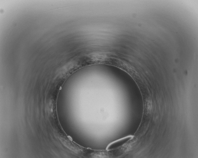 X0000073710567200608101842