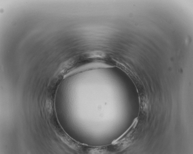 X0000073710568200608101842