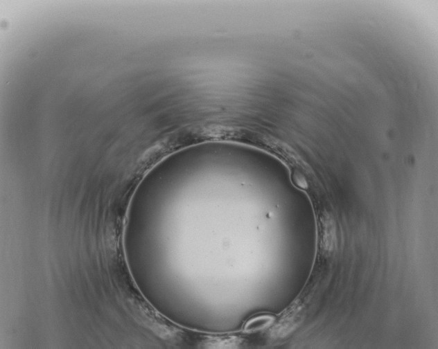 X0000073710569200608101842