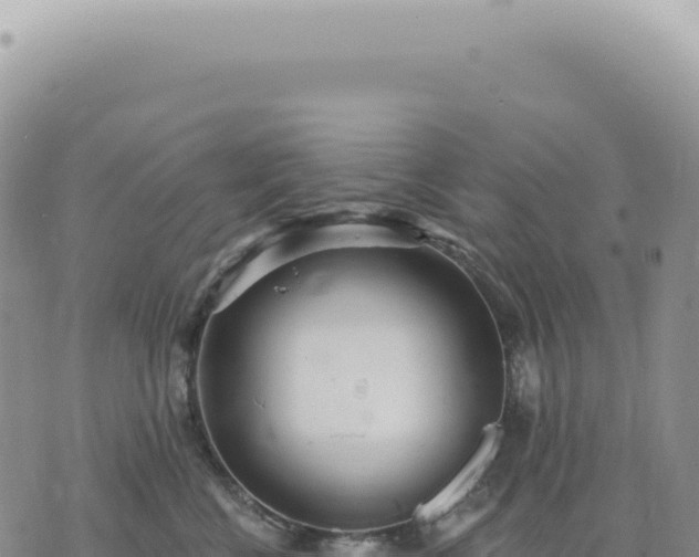 X0000073710570200608101842